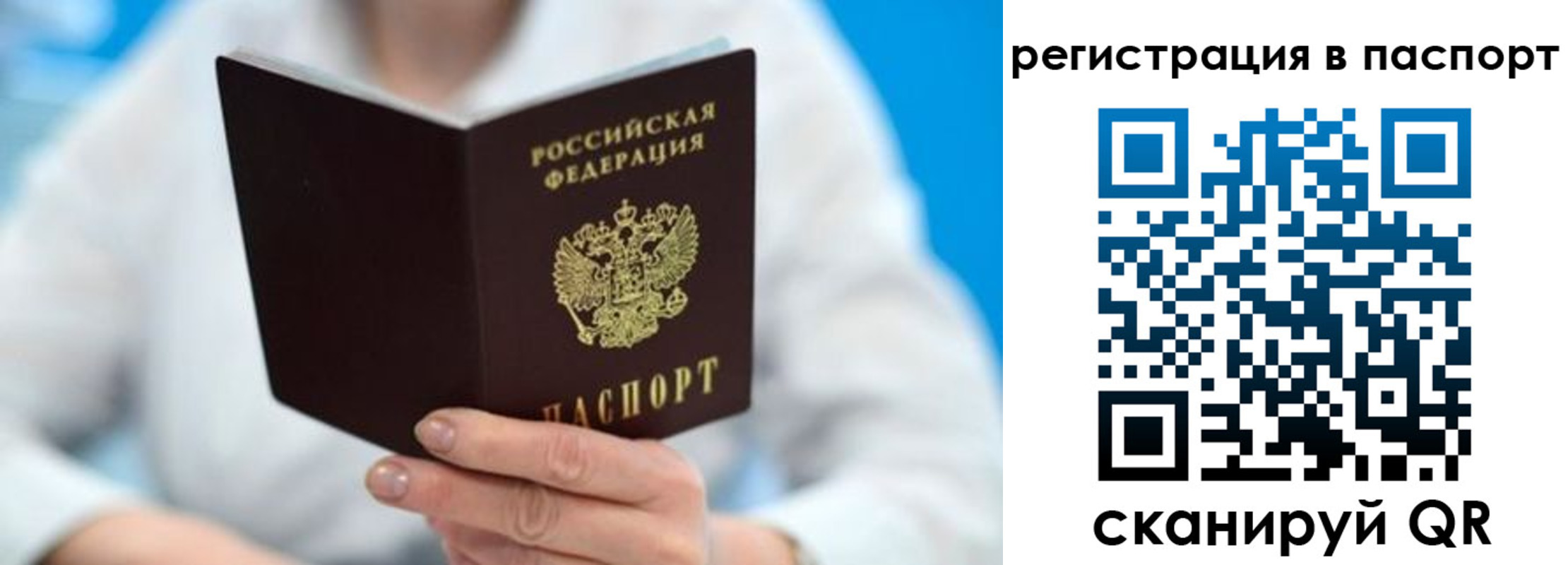 временная регистрация поиск в Полярных Зорях